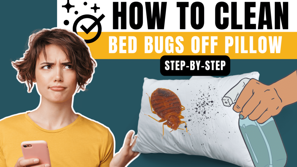 how-to-get-bed-bugs-off-pillows-banner-image