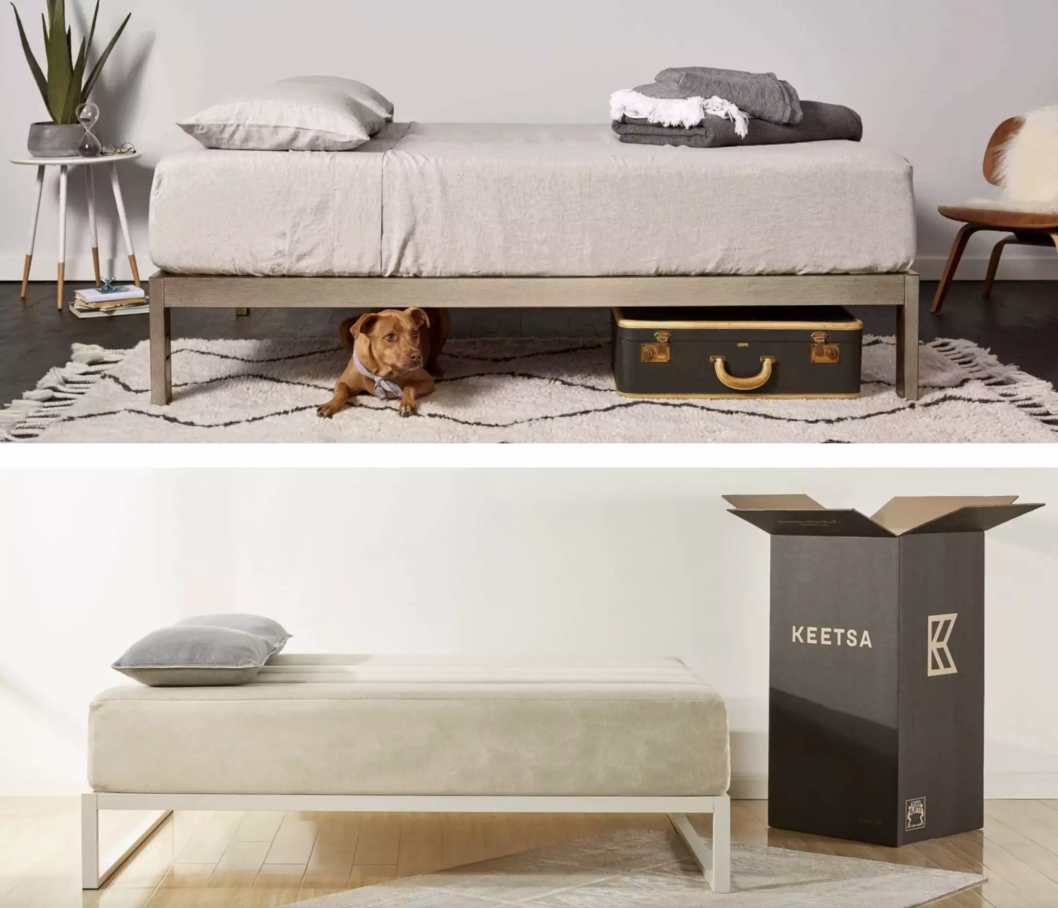 The Minimo Steel Bed Frame