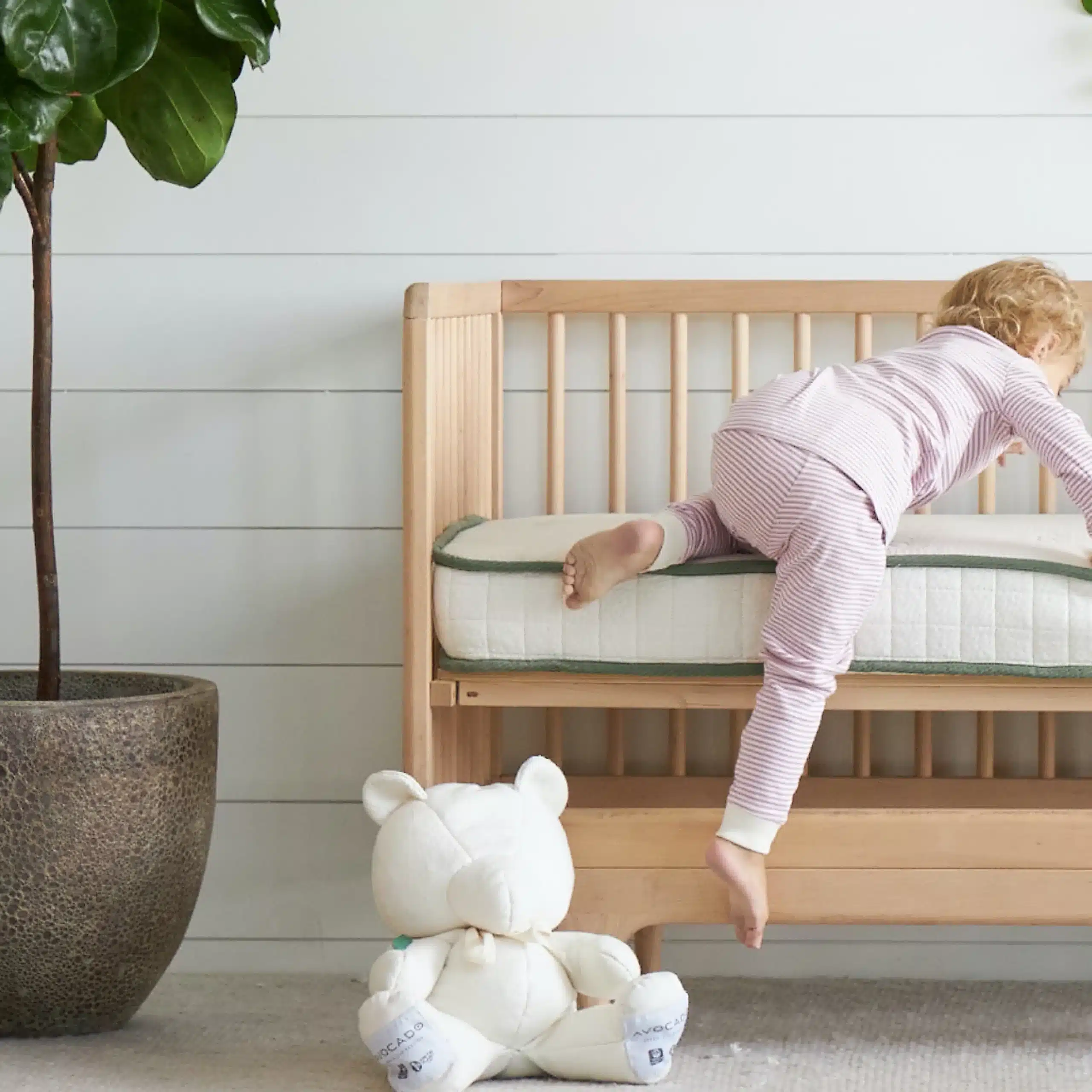 The Organic Crib Mattress by Avocado